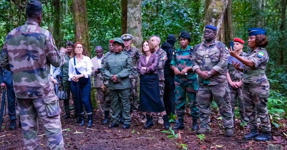 Écogardes gabonais en formation à l’APERN pour protéger les forêts et lutter contre le braconnage