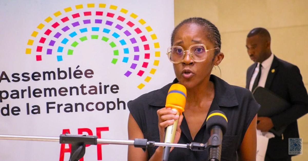 APF : séminaire parlementaire francophone à l’Assemblée nationale du Gabon