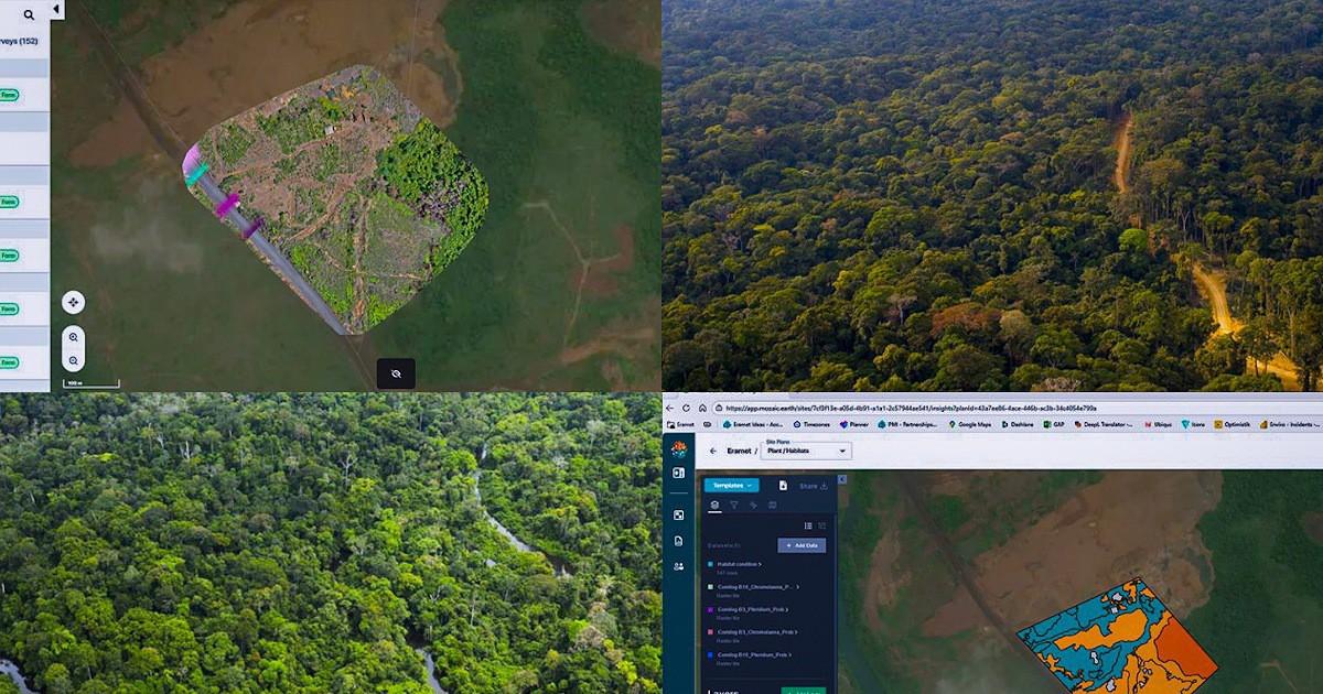 Au Gabon, Comilog teste l’IA pour suivre la biodiversité minière