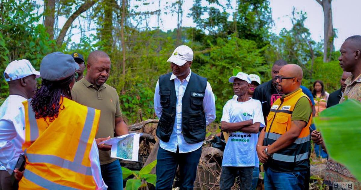Pourquoi la filière palmier à huile est devenue stratégique pour l’économie gabonaise