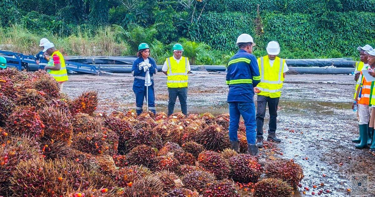 Emplois de demain au Gabon : les 7 secteurs prioritaires choisis par le gouvernement