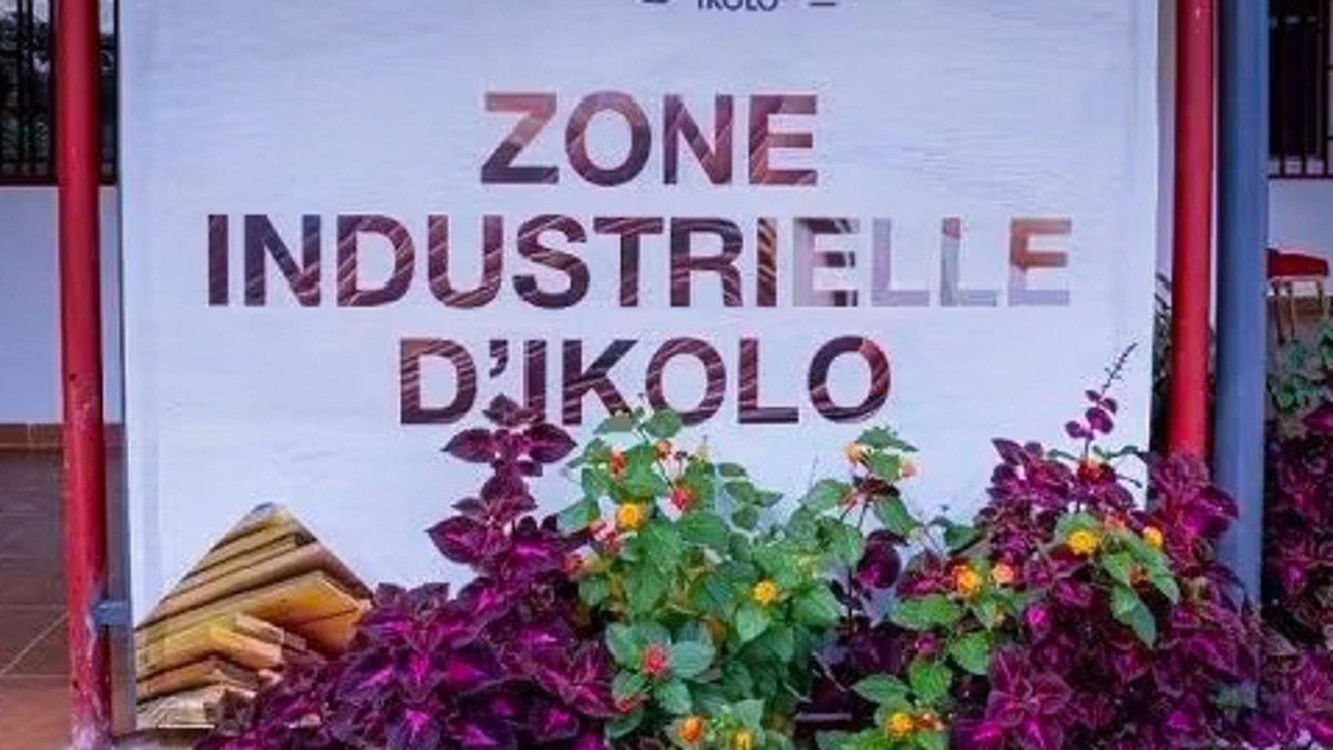 Vue des installations et du bois usiné à la Zone d'investissement spéciale (ZIS) d'Ikolo près de Lambaréné.