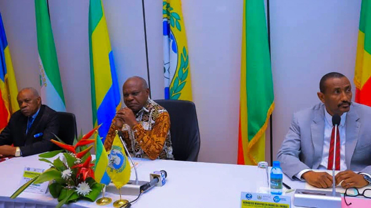 Réunion des experts de la CEMAC sur le Système d’information énergétique à Libreville