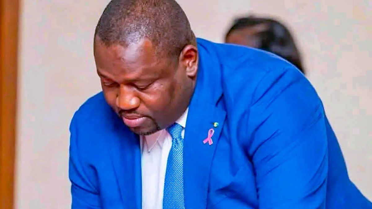 Ministère de l'Énergie et infrastructures électriques au Gabon